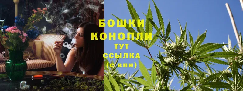 Канабис SATIVA & INDICA  Закаменск 